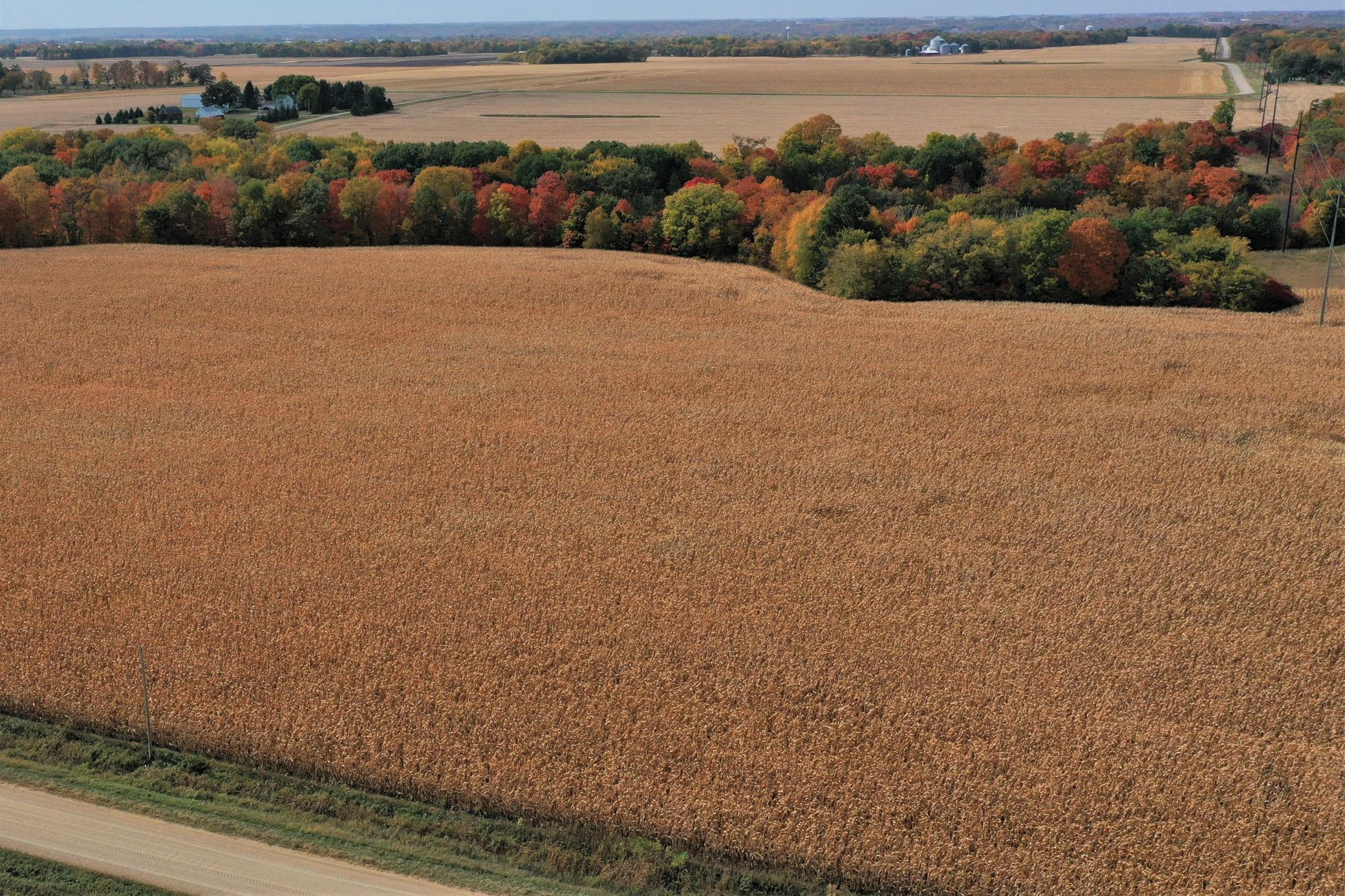 View of Land at xxx 285th Avenue, Le Sueur MN 56058, Le Sueur - Mike Wilen | Minnesota Team Real Estate