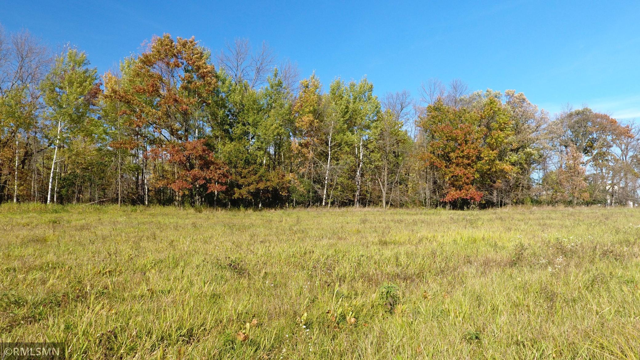 View of Land at 17xxx Ivy Road, Milaca MN 56353, Milaca - Mike Wilen | Minnesota Team Real Estate