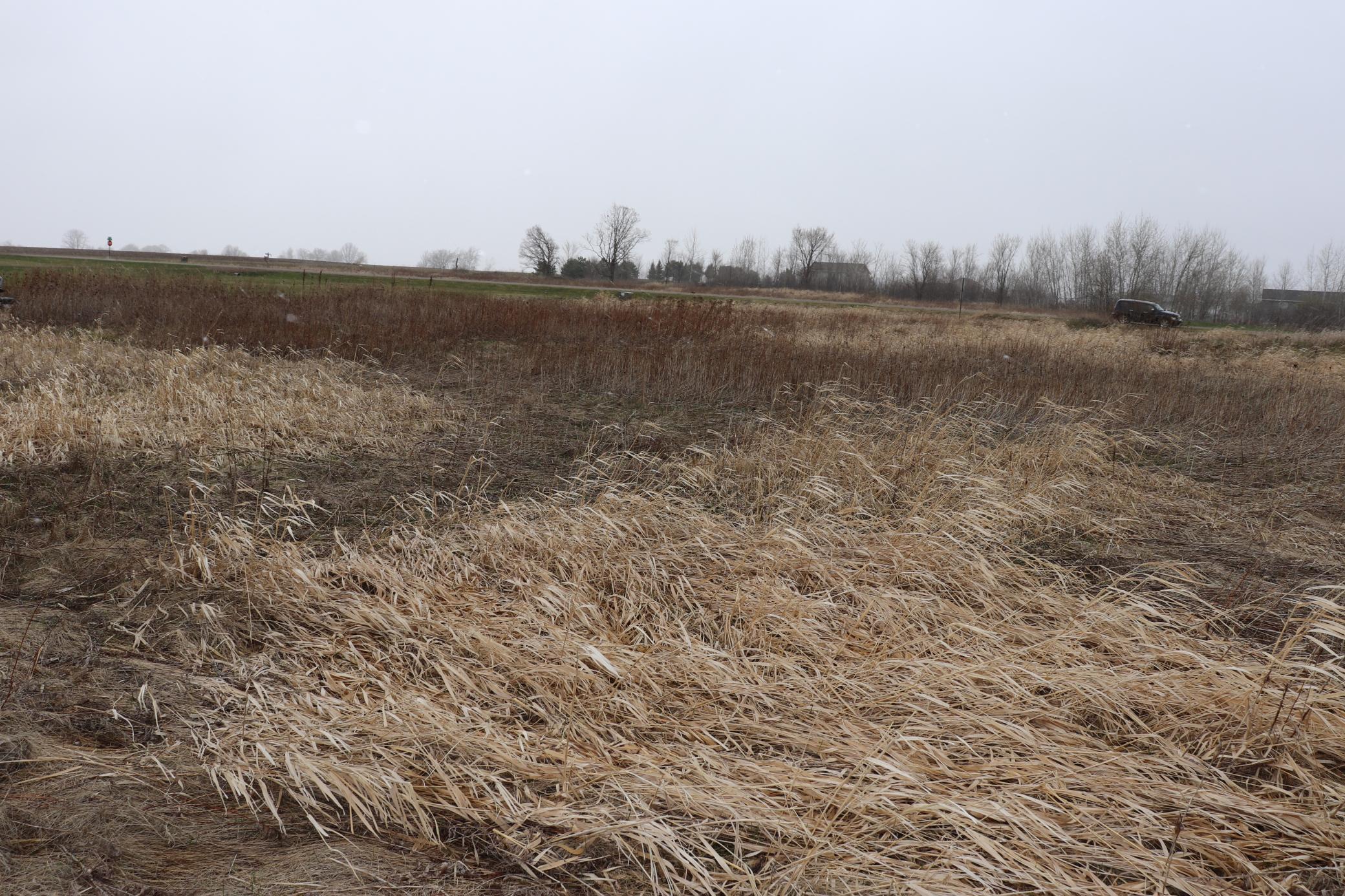 View of Land at 11343 82nd Street, Princeton MN 55371, Princeton - Mike Wilen | Minnesota Team Real Estate