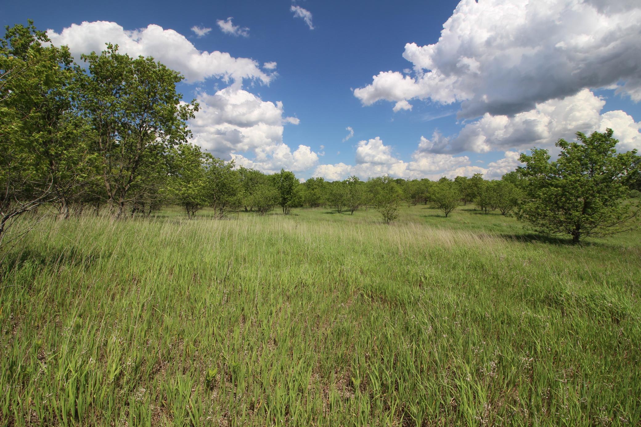 View of Land at TBD Palm St NW, Cambridge MN 55008, Cambridge - Mike Wilen | Minnesota Team Real Estate
