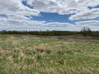 View of Land at XXX 90th Street, Milaca MN 56353, Milaca - Mike Wilen | Minnesota Team Real Estate