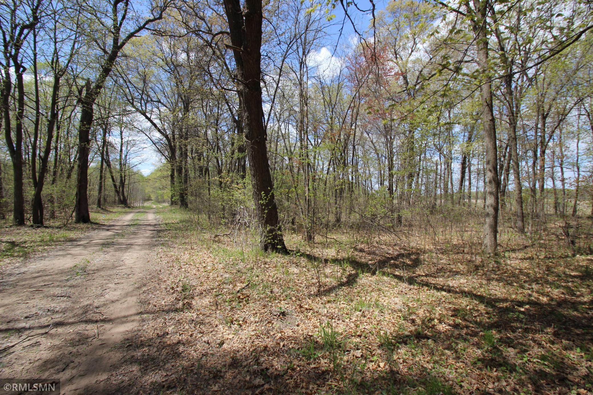 View of Land at 0007 267th Ave NE, Isanti MN 55040, Isanti - Mike Wilen | Minnesota Team Real Estate