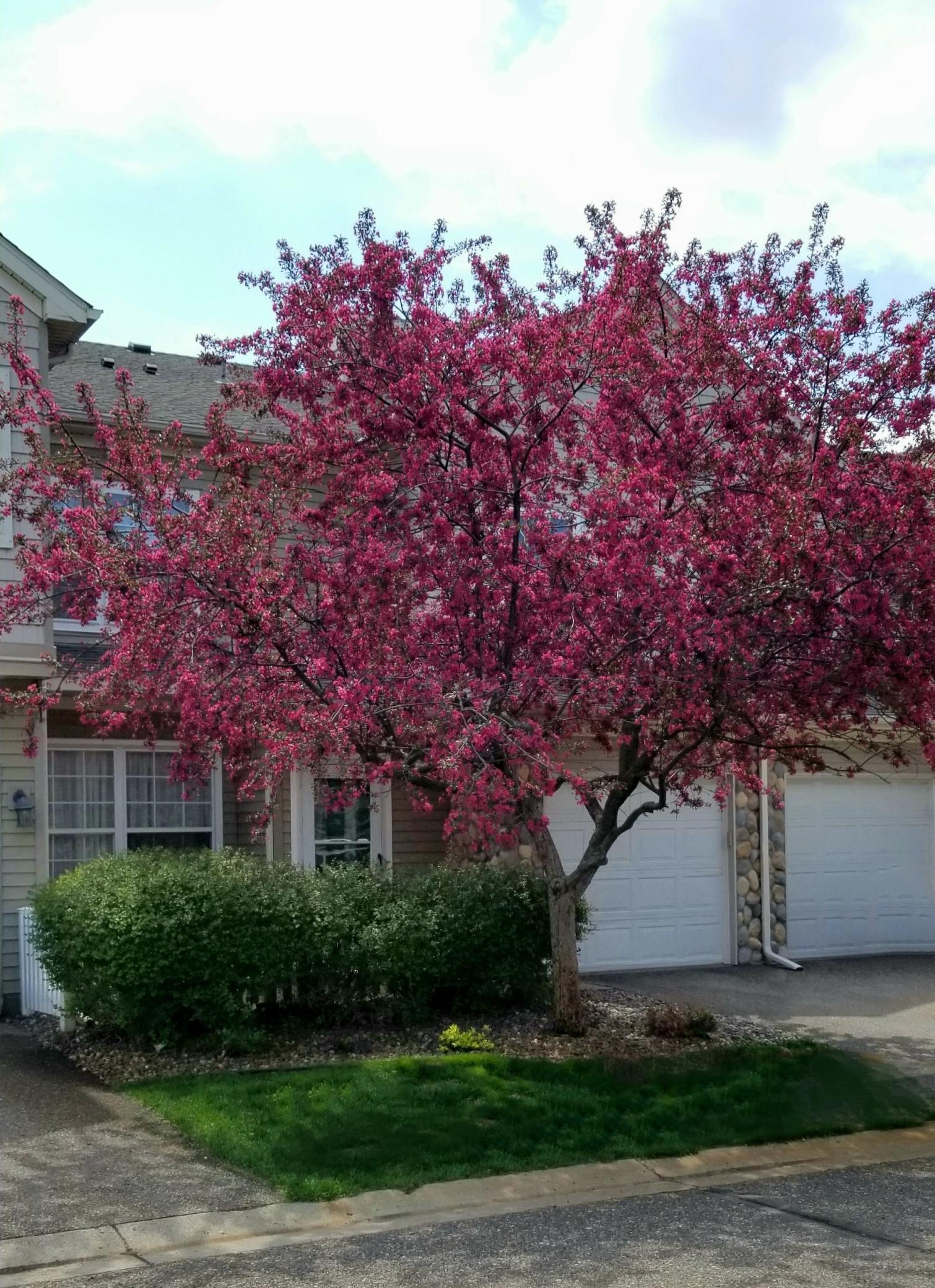 View of Residential at 1883 Bluestem Lane, Shoreview MN 55126, Shoreview - Mike Wilen | Minnesota Team Real Estate