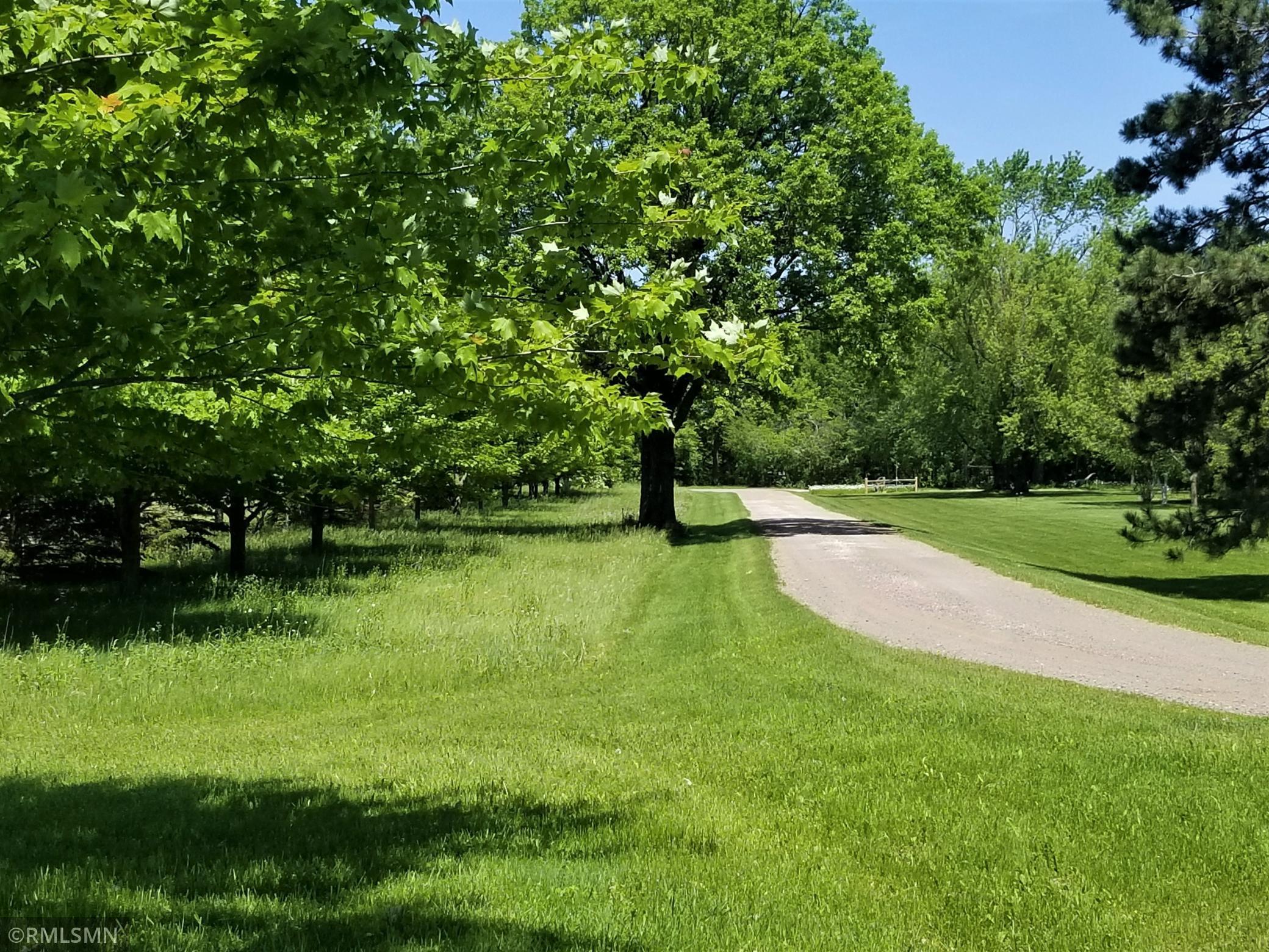 View of Land at 10XXX 125th Street, Milaca MN 56353, Milaca - Mike Wilen | Minnesota Team Real Estate