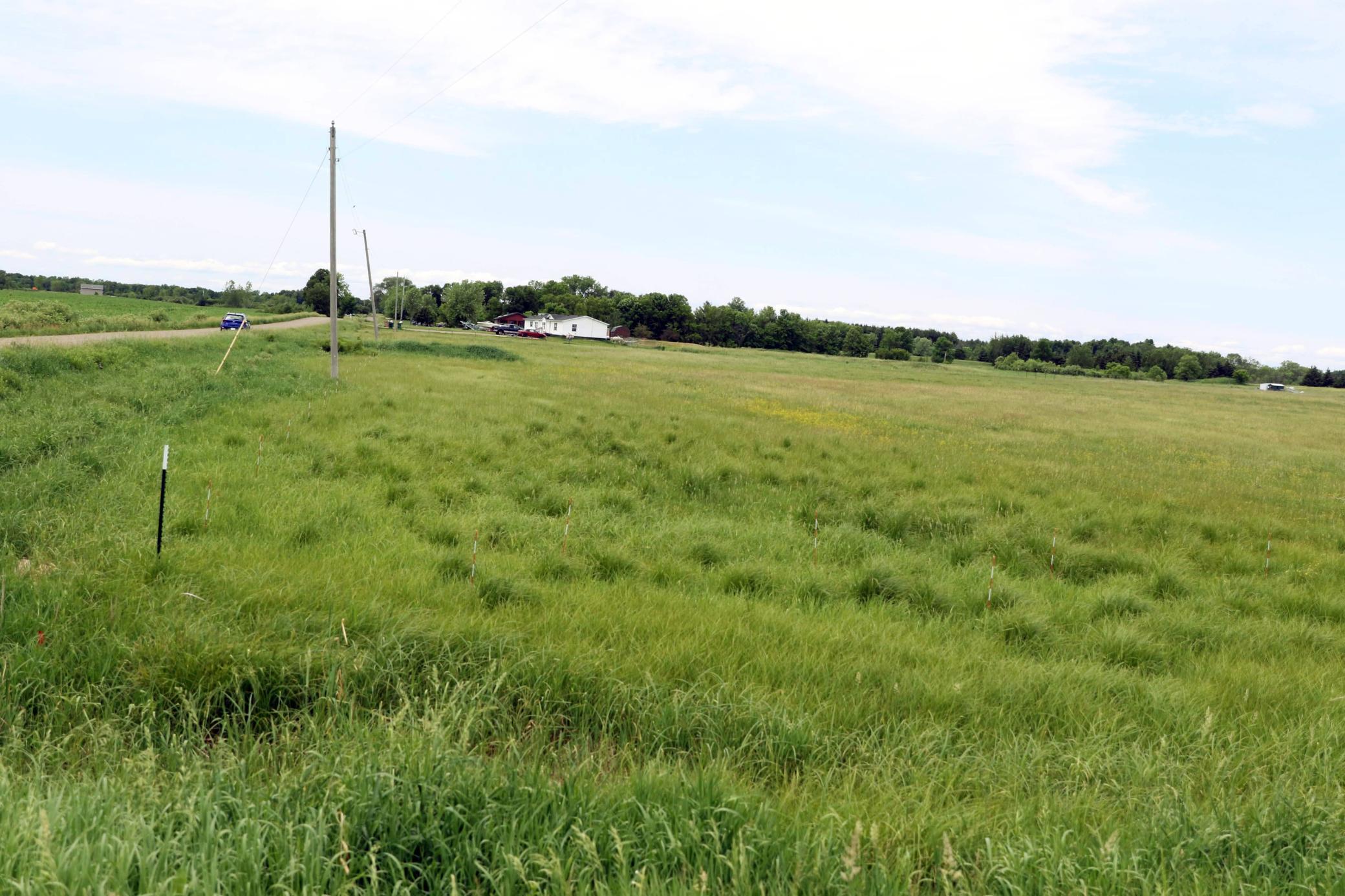 View of Land at xxx 125th Avenue, Milaca MN 56353, Milaca - Mike Wilen | Minnesota Team Real Estate