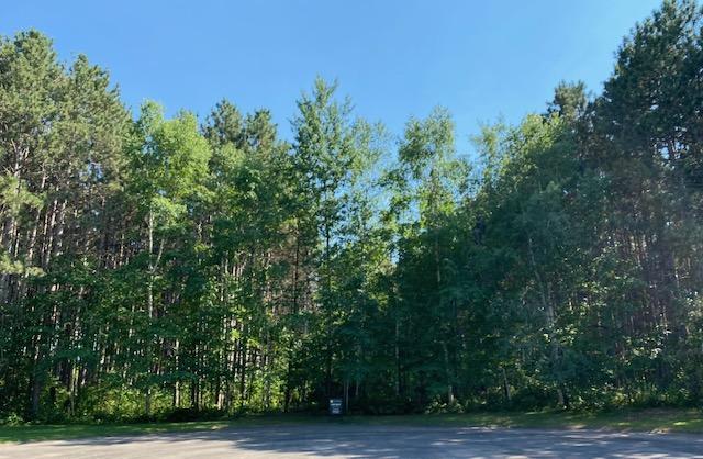 View of Land at xxx Saphire, Ramsey MN 55303, Ramsey - Mike Wilen | Minnesota Team Real Estate