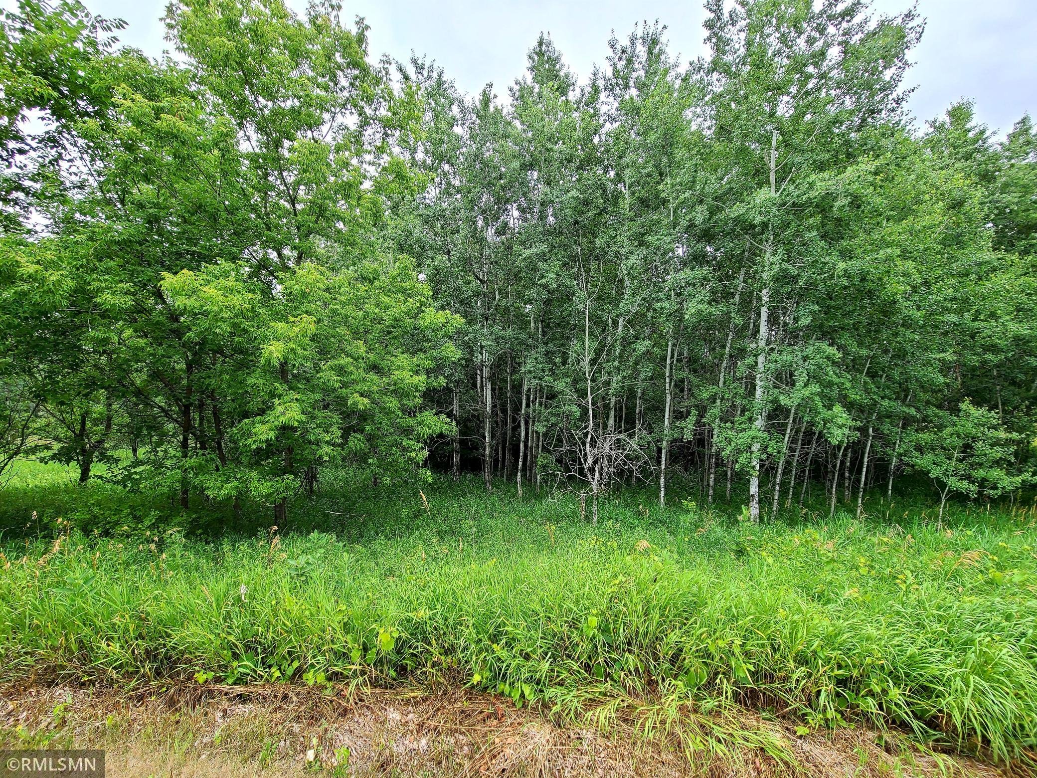 View of Land at 14285 201st Avenue, Elk River MN 55330, Elk River - Mike Wilen | Minnesota Team Real Estate