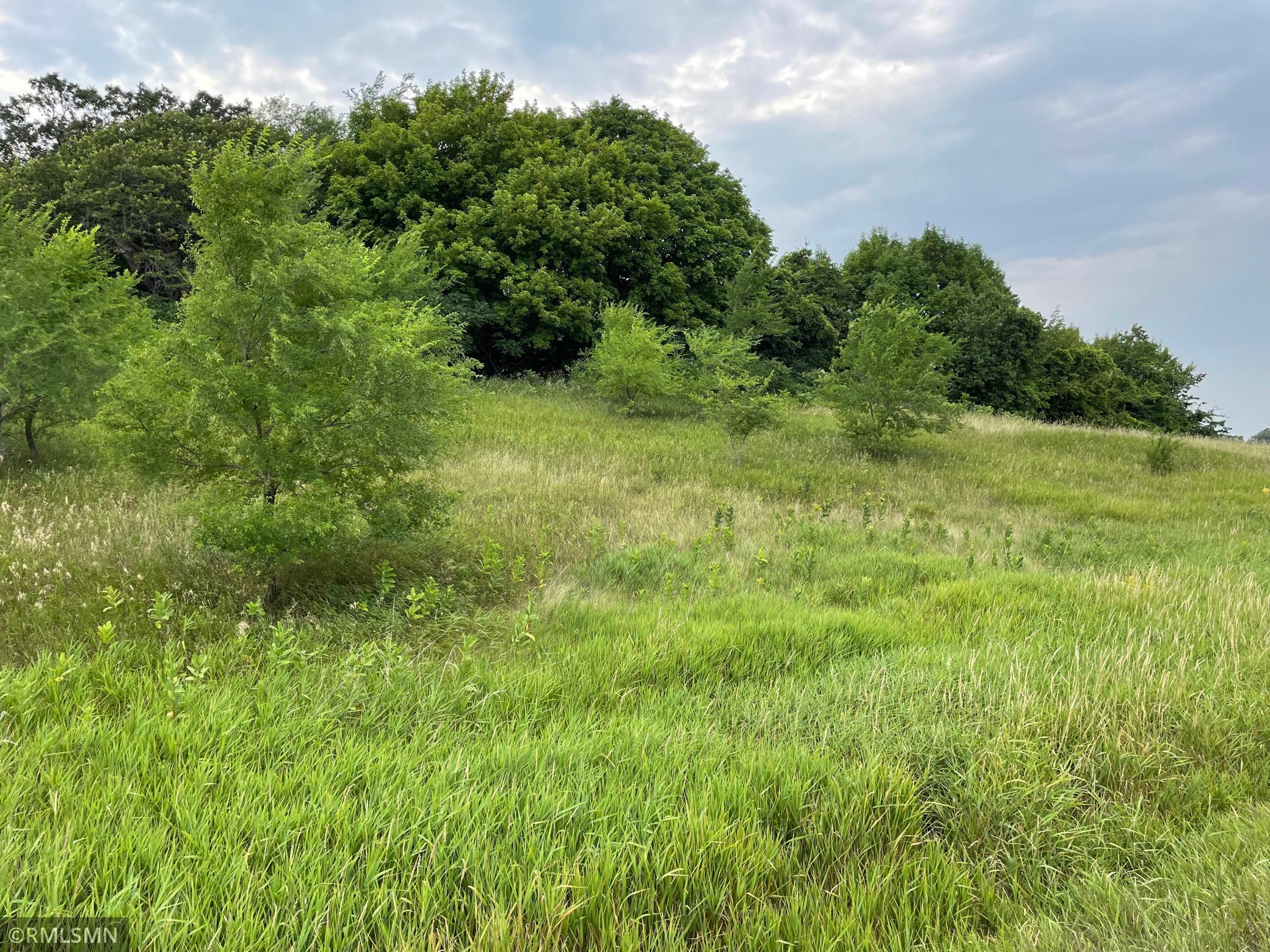 View of Land at XXXXX 150th Street, Cologne MN 55322, Cologne - Mike Wilen | Minnesota Team Real Estate