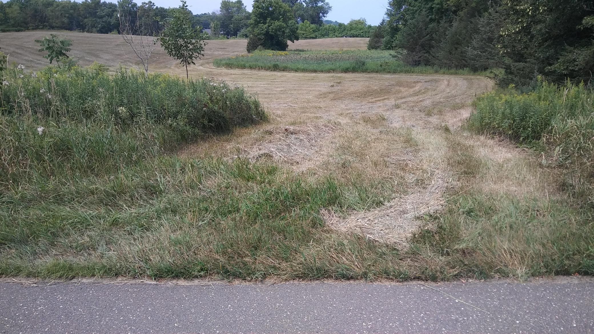 View of Land at 000 270th, Chisago City MN 55013, Chisago City - Mike Wilen | Minnesota Team Real Estate
