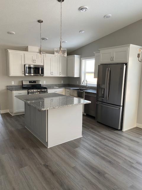 View of Residential at 17298 204th Avenue NW, Big Lake MN 55309, Big Lake - Mike Wilen | Minnesota Team Real Estate
