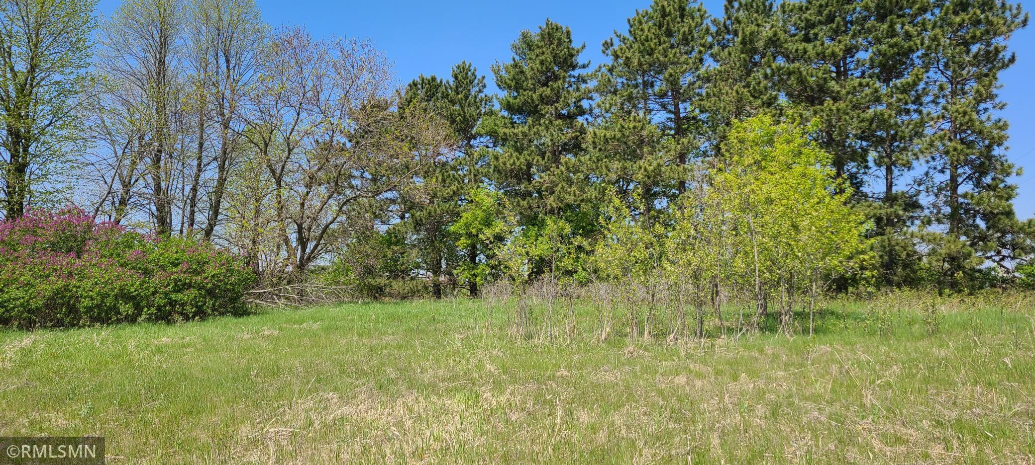 View of Land at xxxx 375th Avenue, Stanchfield MN 55080, Stanchfield - Mike Wilen | Minnesota Team Real Estate