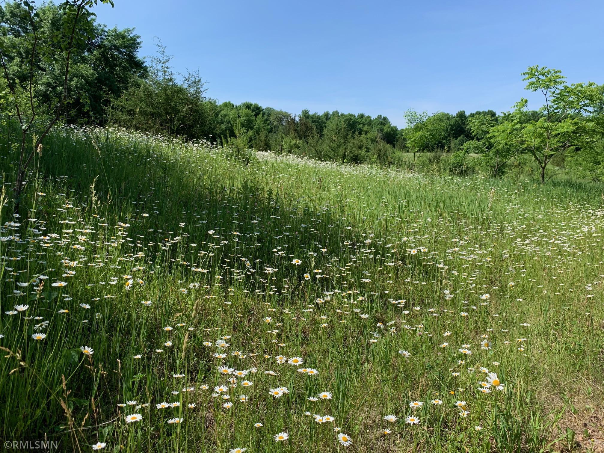 View of Land at 1700 Orchard Creek Trail, Long Lake MN 55356, Long Lake - Mike Wilen | Minnesota Team Real Estate