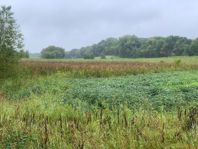 View of Land at XXX Mushtown Road, Prior Lake MN 55372, Prior Lake - Mike Wilen | Minnesota Team Real Estate