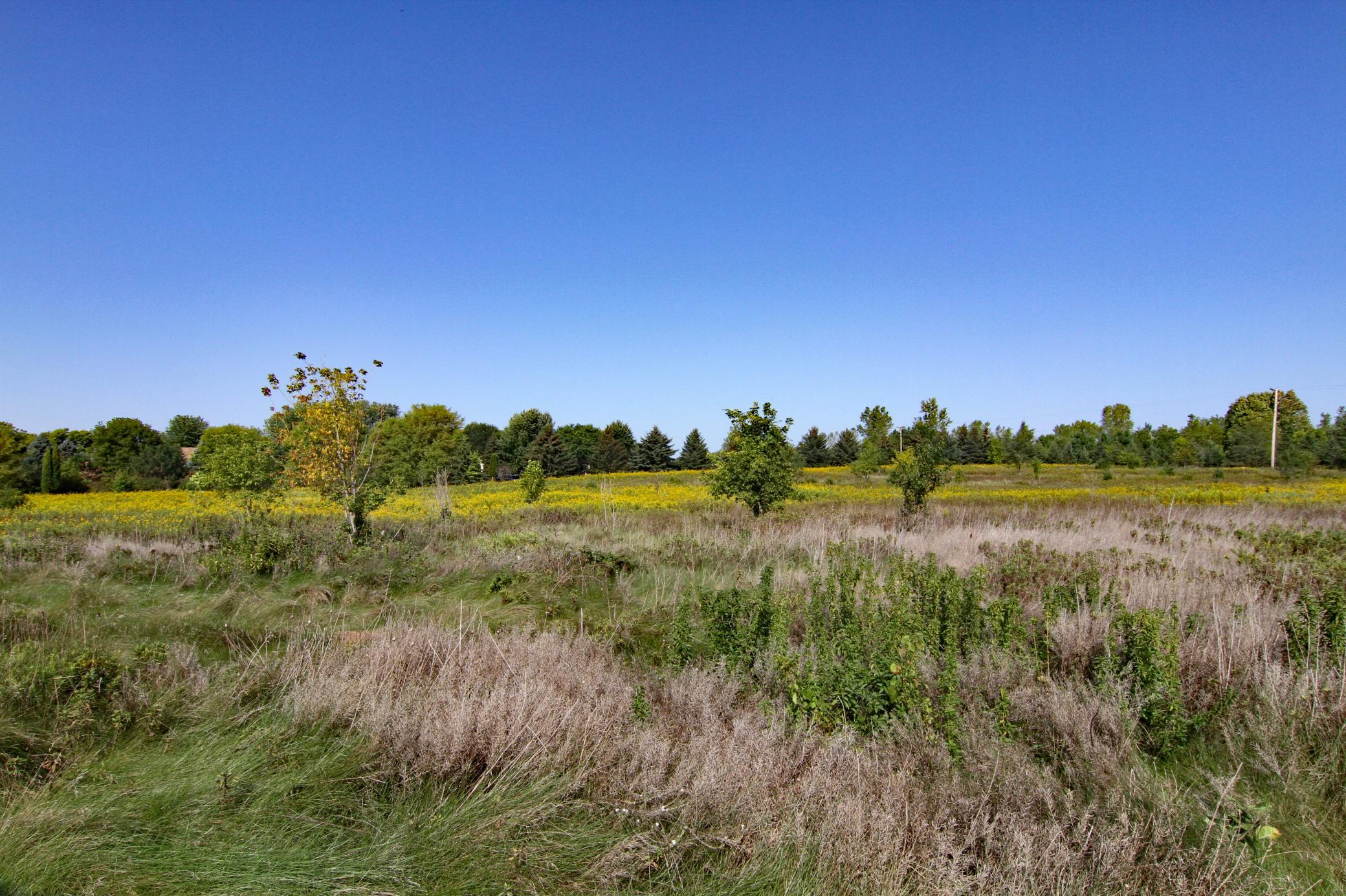 View of Land at 111XX Paris Ave S, Hastings MN 55033, Hastings - Mike Wilen | Minnesota Team Real Estate