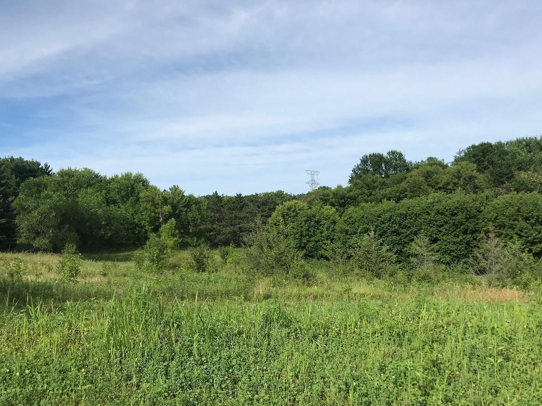 View of Residential at 14640 10th Street Court, Stillwater MN 55082, Stillwater - Mike Wilen | Minnesota Team Real Estate