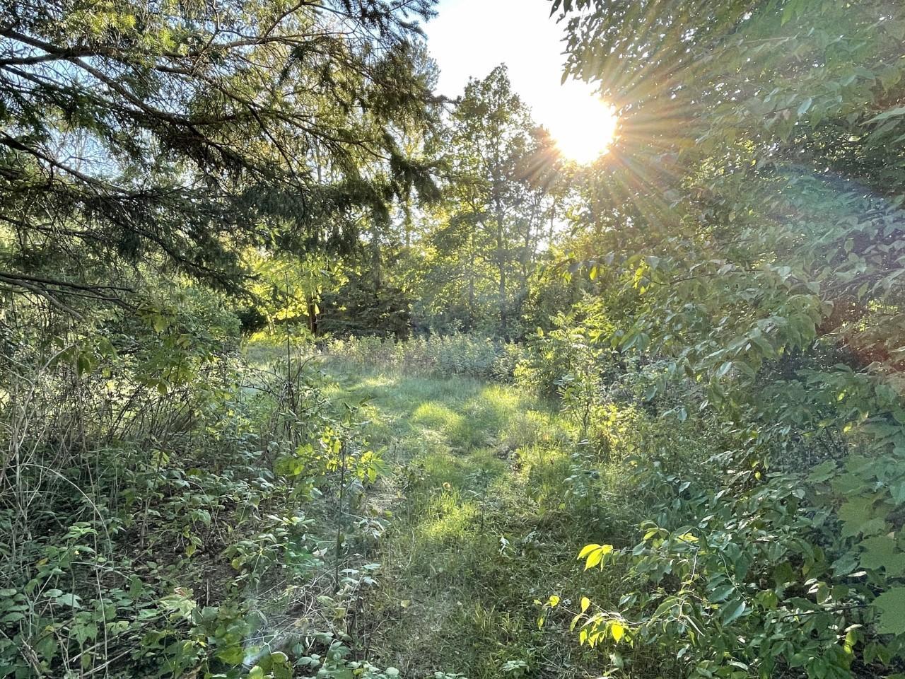 View of Land at xxxx 7th Avenue, Princeton MN 55371, Princeton - Mike Wilen | Minnesota Team Real Estate
