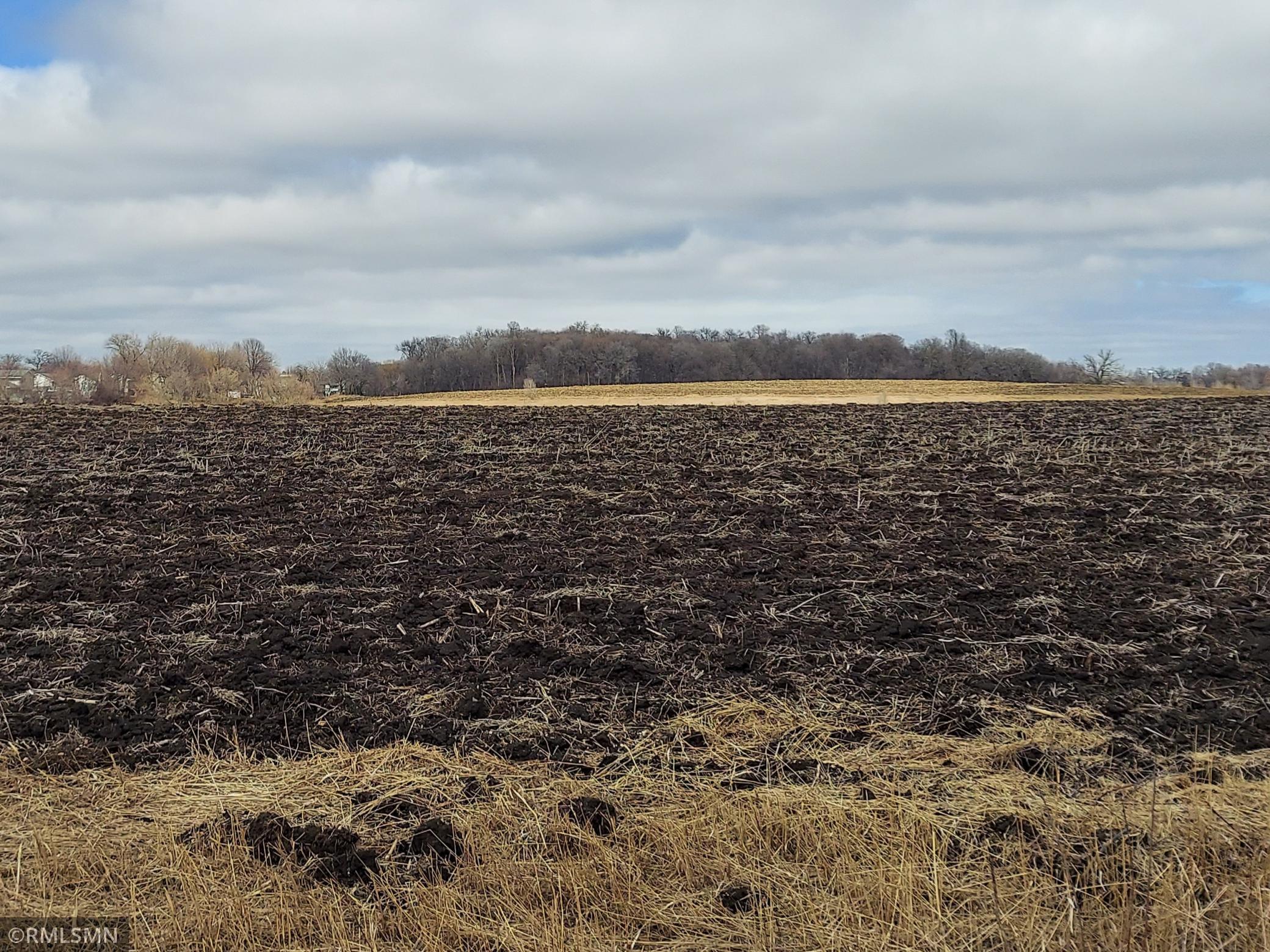 View of Land at 500 Benton Street, Cologne MN 55322, Cologne - Mike Wilen | Minnesota Team Real Estate