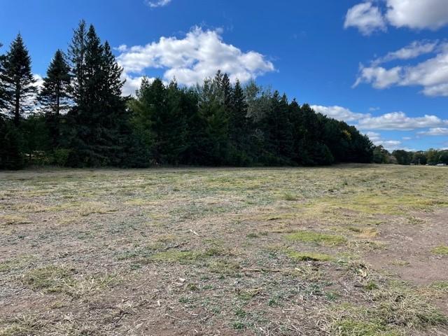 View of Land at 8132 325th Avenue, Princeton MN 55371, Princeton (8 of 36) - Mike Wilen | Minnesota Team Real Estate