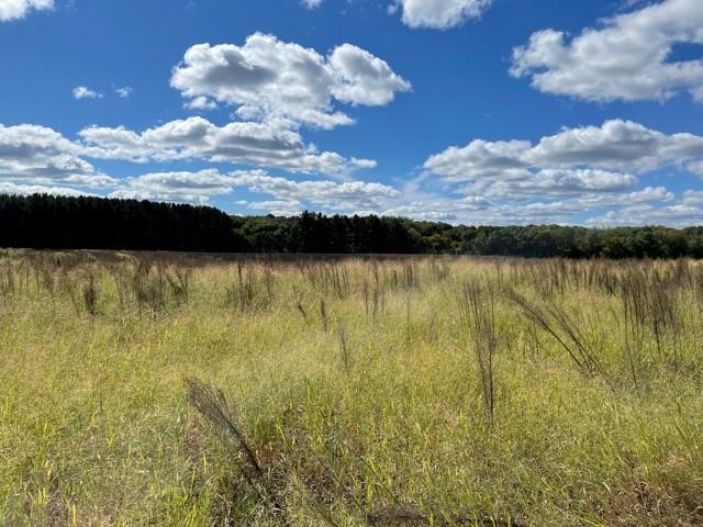 View of Land at 8132 325th Avenue, Princeton MN 55371, Princeton (11 of 36) - Mike Wilen | Minnesota Team Real Estate
