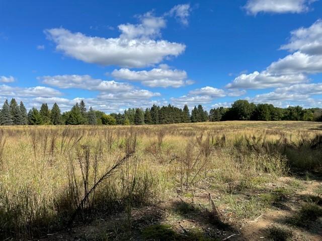 View of Land at 8132 325th Avenue, Princeton MN 55371, Princeton (12 of 36) - Mike Wilen | Minnesota Team Real Estate