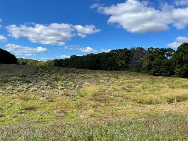 View of Land at 8072 325th Avenue, Princeton MN 55371, Princeton (2 of 36) - Mike Wilen | Minnesota Team Real Estate