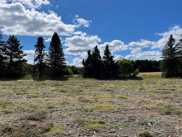 View of Land at 8072 325th Avenue, Princeton MN 55371, Princeton (6 of 36) - Mike Wilen | Minnesota Team Real Estate