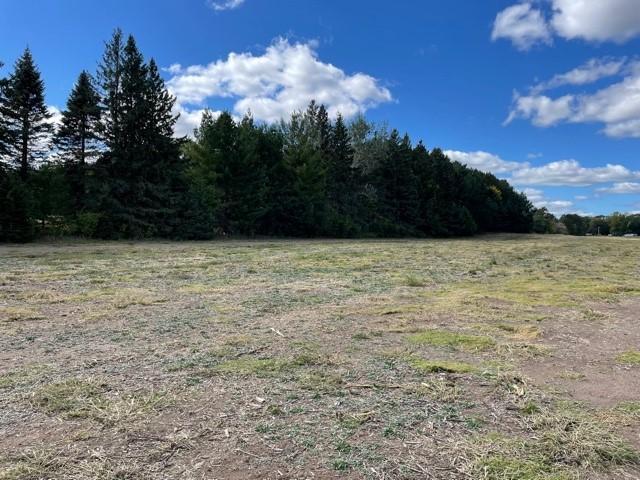 View of Land at 8072 325th Avenue, Princeton MN 55371, Princeton (9 of 36) - Mike Wilen | Minnesota Team Real Estate
