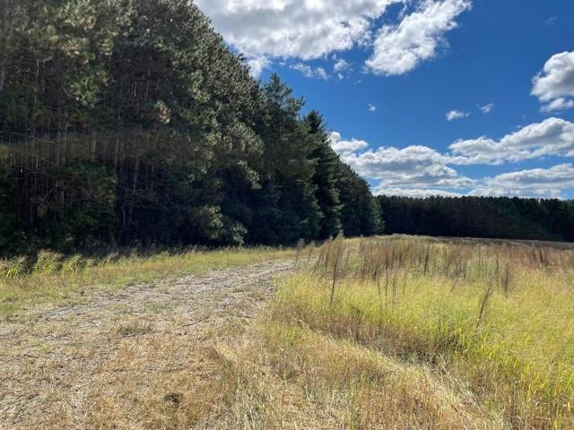 View of Land at 8072 325th Avenue, Princeton MN 55371, Princeton (11 of 36) - Mike Wilen | Minnesota Team Real Estate
