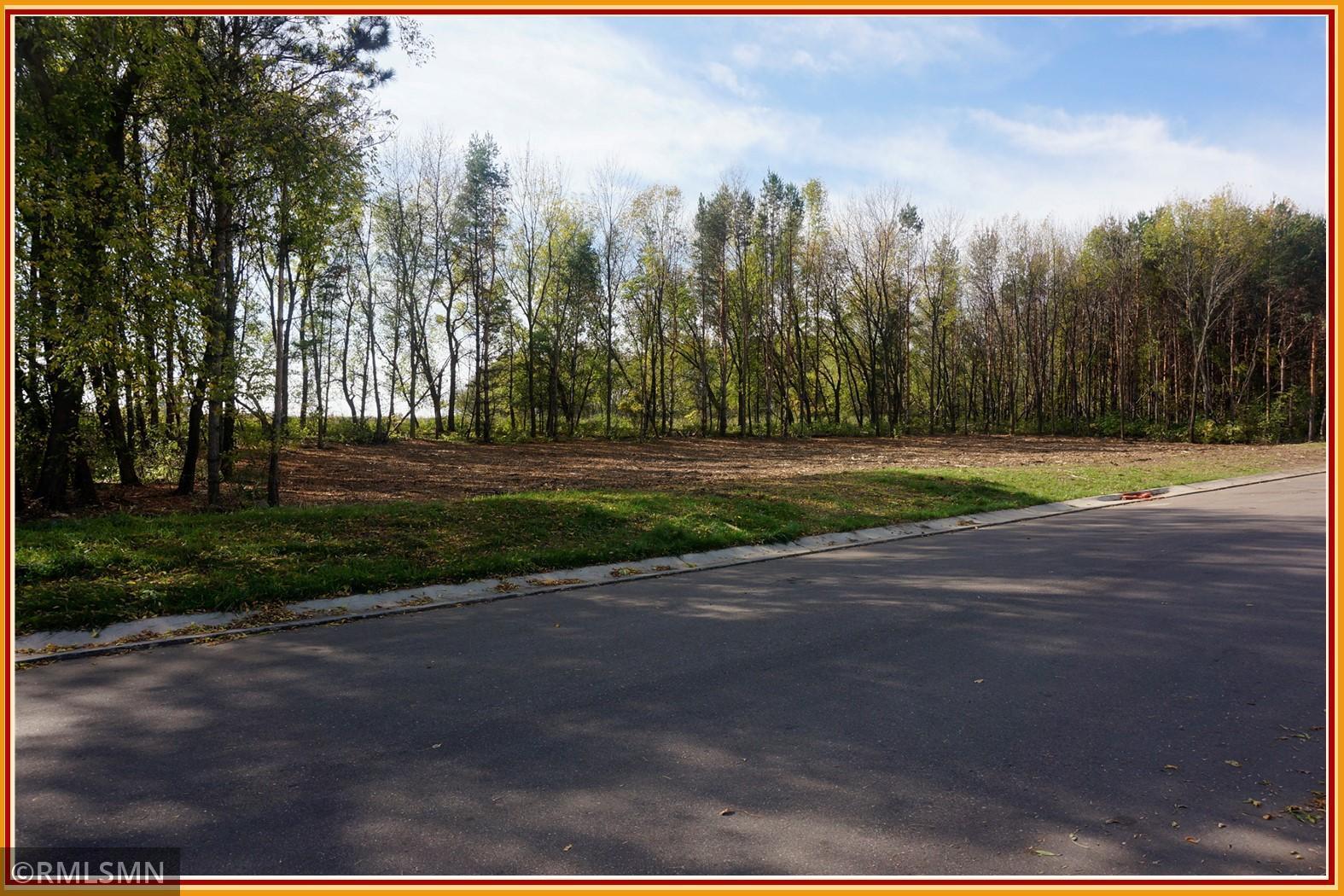 View of Land at 13099 96th Street, Otsego MN 55330, Otsego - Mike Wilen | Minnesota Team Real Estate