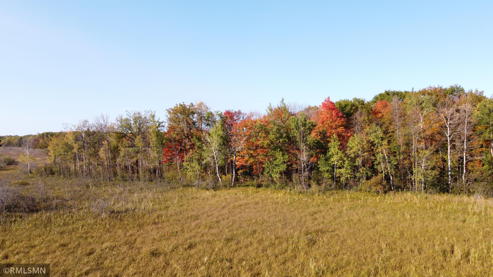 View of Land at 11xxx 380th, Onamia MN 56359, Onamia - Mike Wilen | Minnesota Team Real Estate