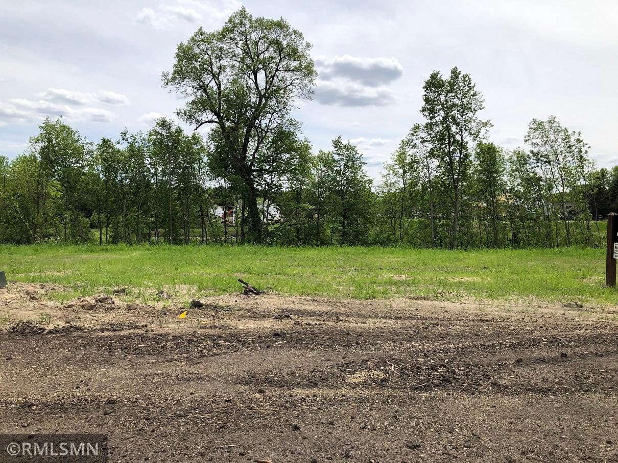 View of Land at 117 Forest Court, Waconia MN 55387, Waconia - Mike Wilen | Minnesota Team Real Estate