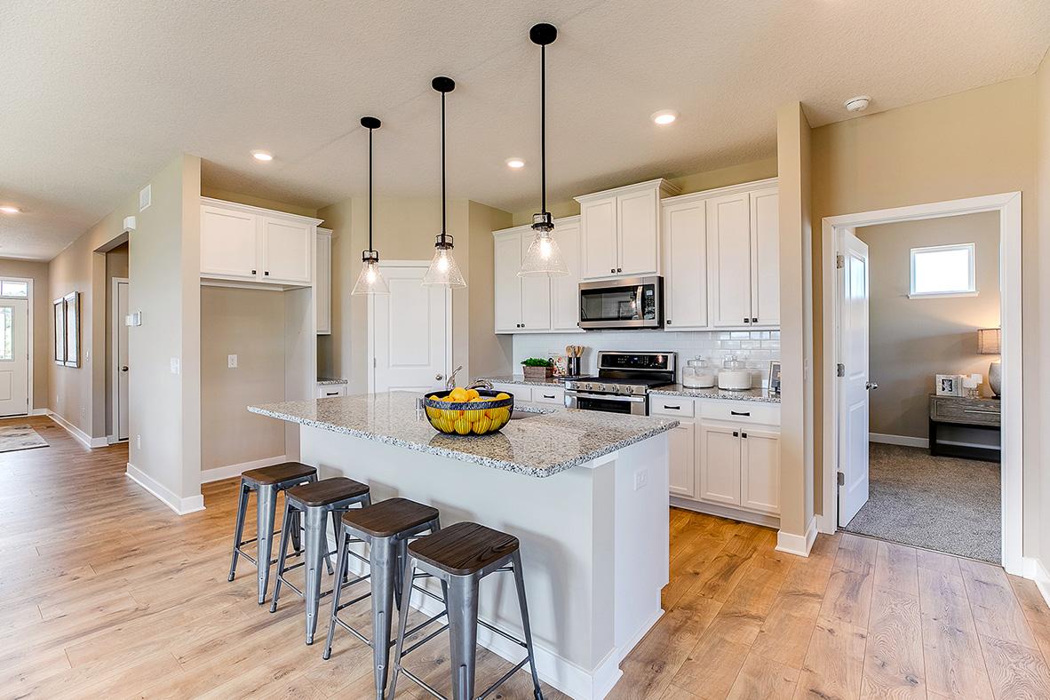 View of Residential at 13645 Applewood Trail, Rosemount MN 55068, Rosemount - Mike Wilen | Minnesota Team Real Estate