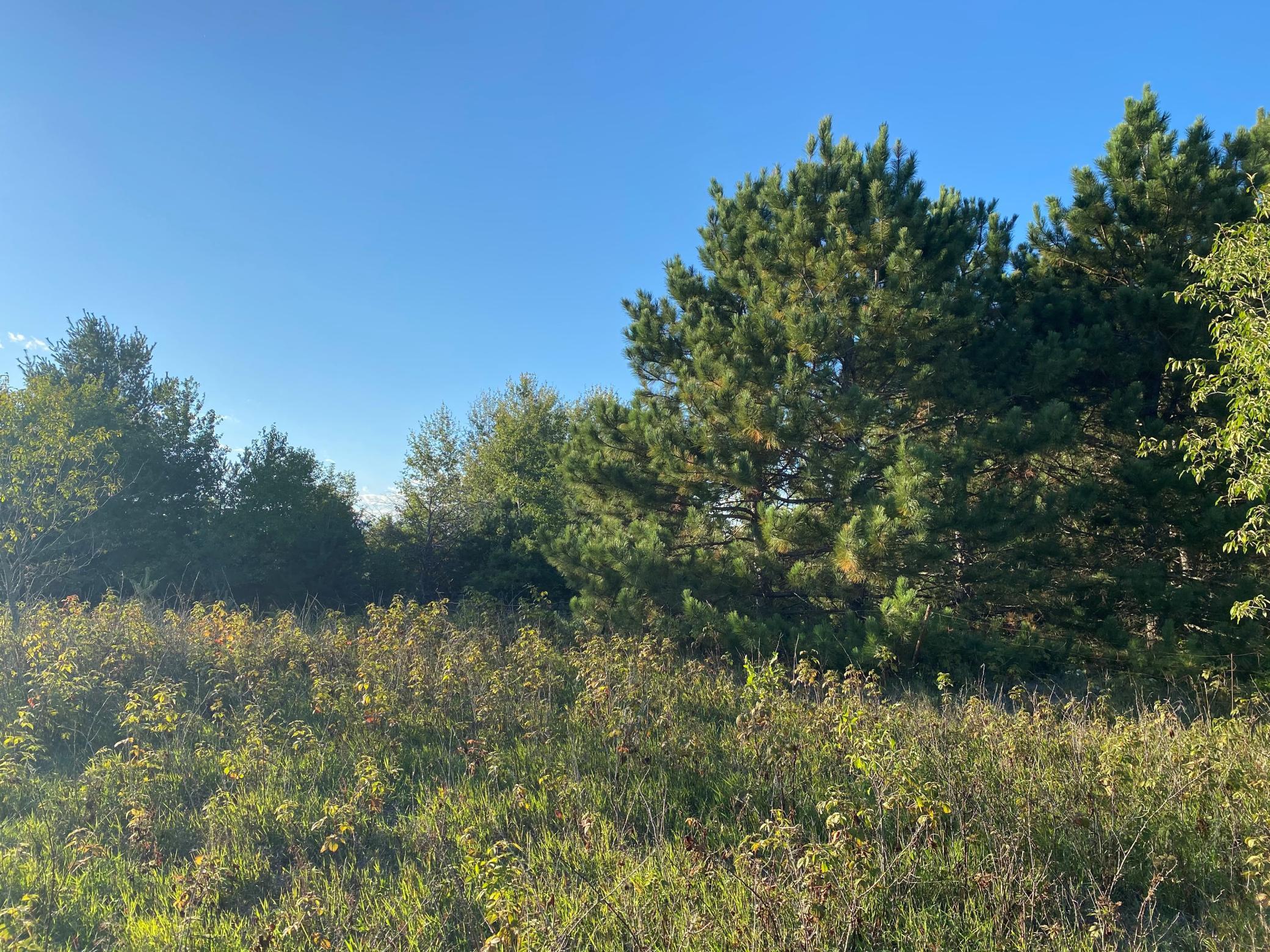 View of Land at Lot 4 Blk 1 68th Avenue, Princeton MN 55371, Princeton - Mike Wilen | Minnesota Team Real Estate