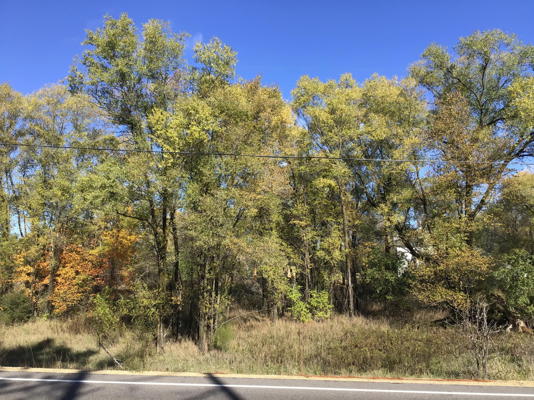 View of Land at 455 Constance Boulevard, Andover MN 55304, Andover - Mike Wilen | Minnesota Team Real Estate