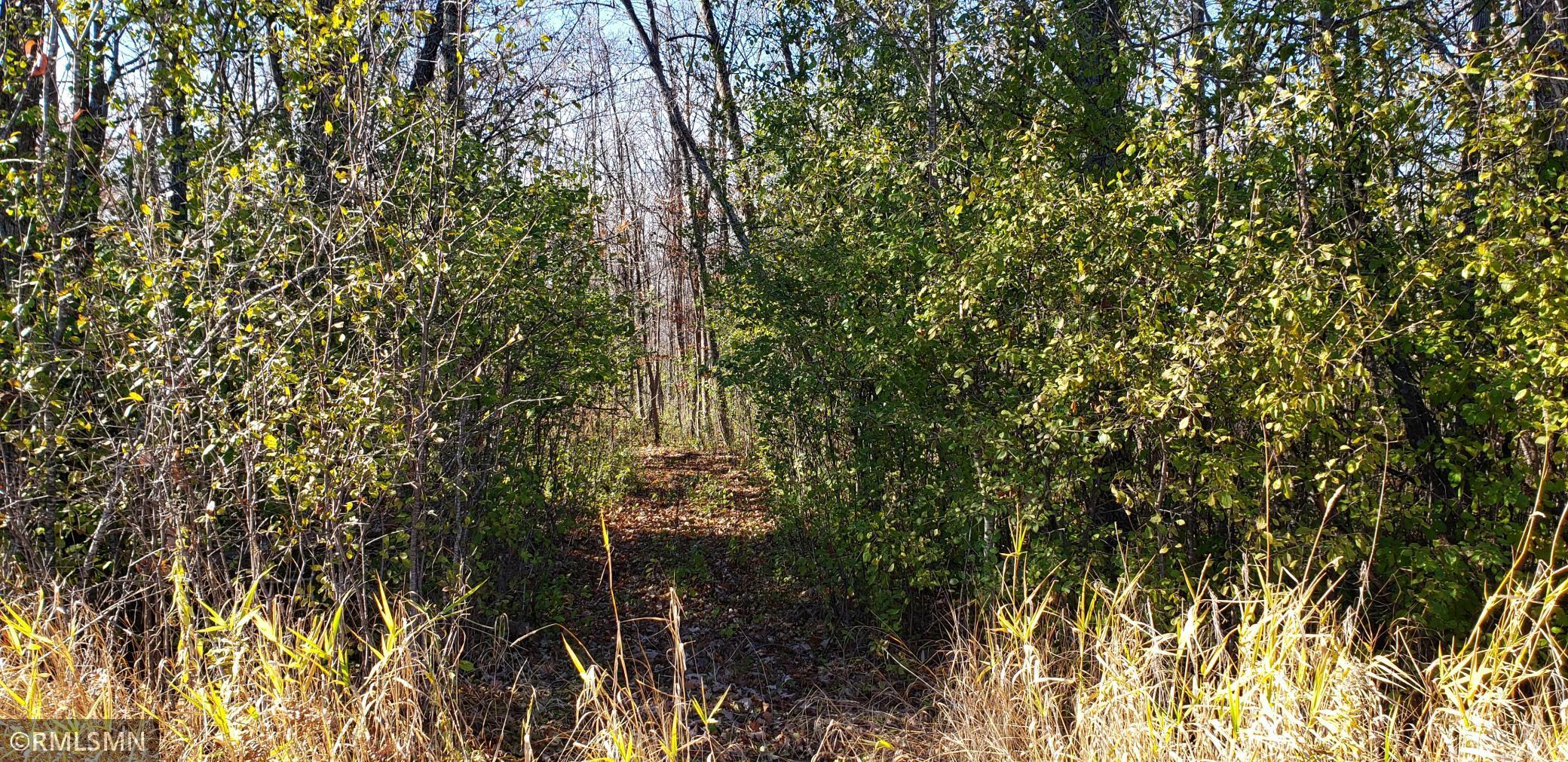 View of Land at 39XXX 30th Avenue, Wahkon MN 56386, Wahkon - Mike Wilen | Minnesota Team Real Estate