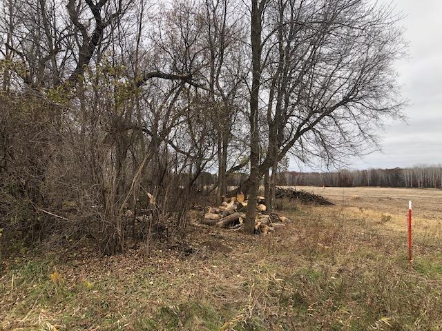 View of Land at 0000 Jodrell Street, Cambridge MN 55008, Cambridge - Mike Wilen | Minnesota Team Real Estate