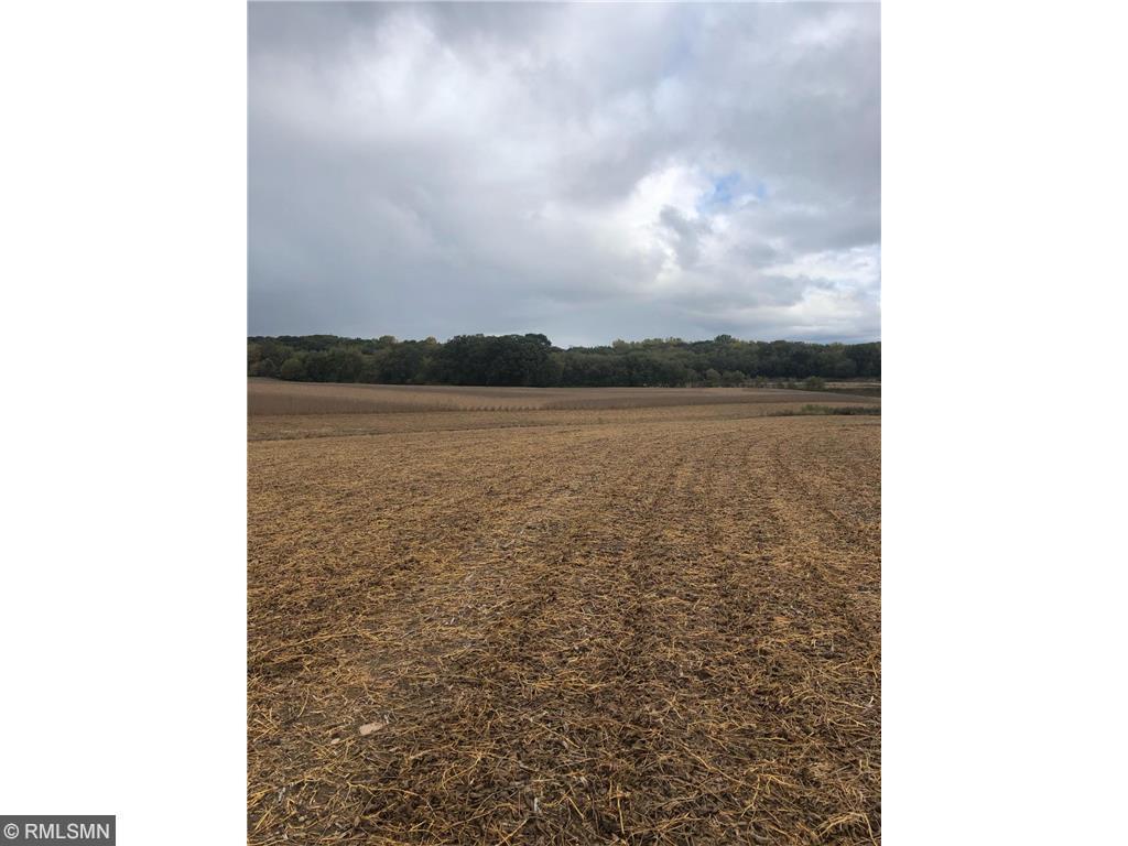 View of Land at 10060 240th, Lakeville MN 55044, Lakeville - Mike Wilen | Minnesota Team Real Estate