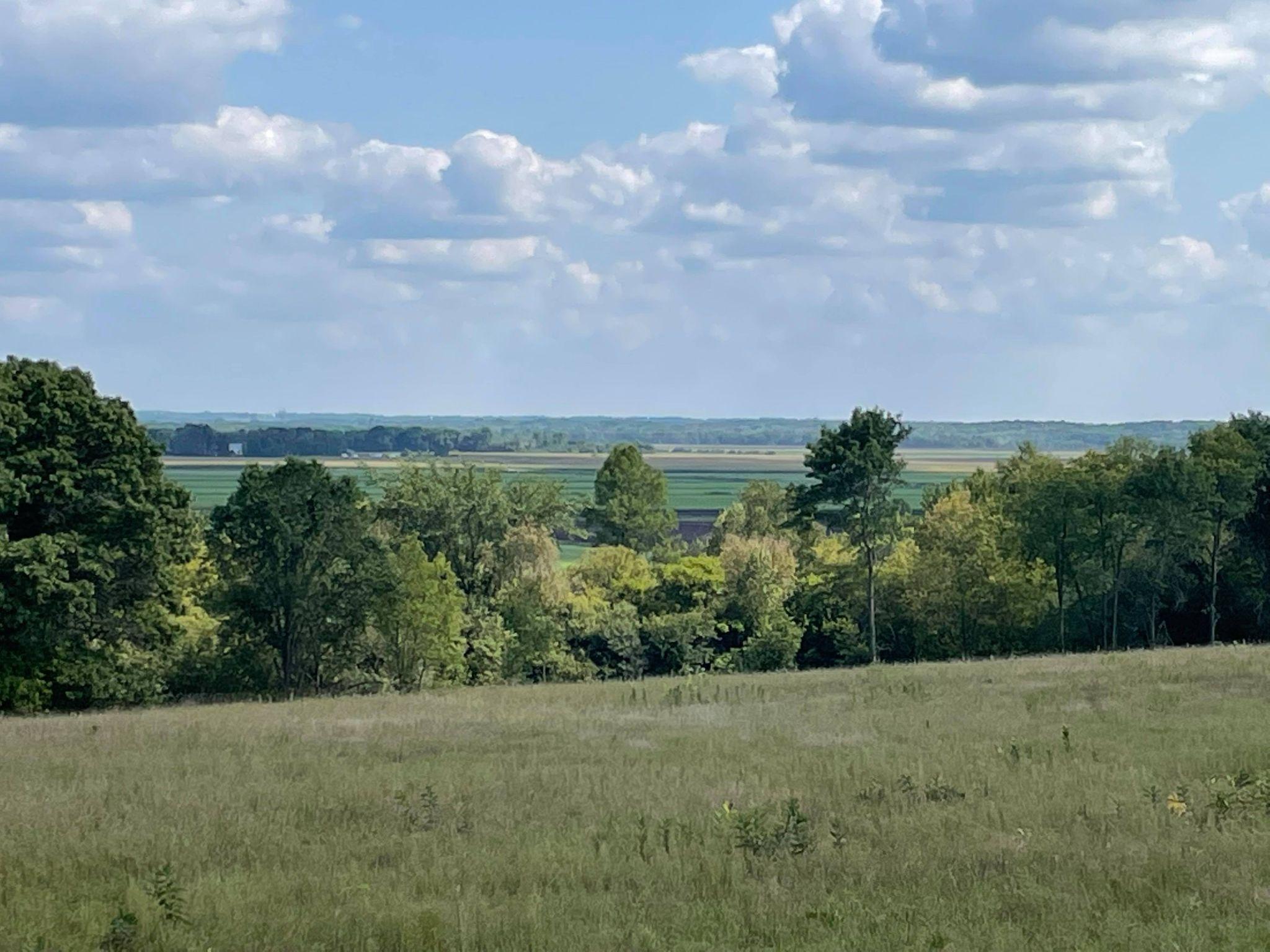 View of Land at xxxx1 Hemingway Ave, North Branch MN 55056, North Branch - Mike Wilen | Minnesota Team Real Estate