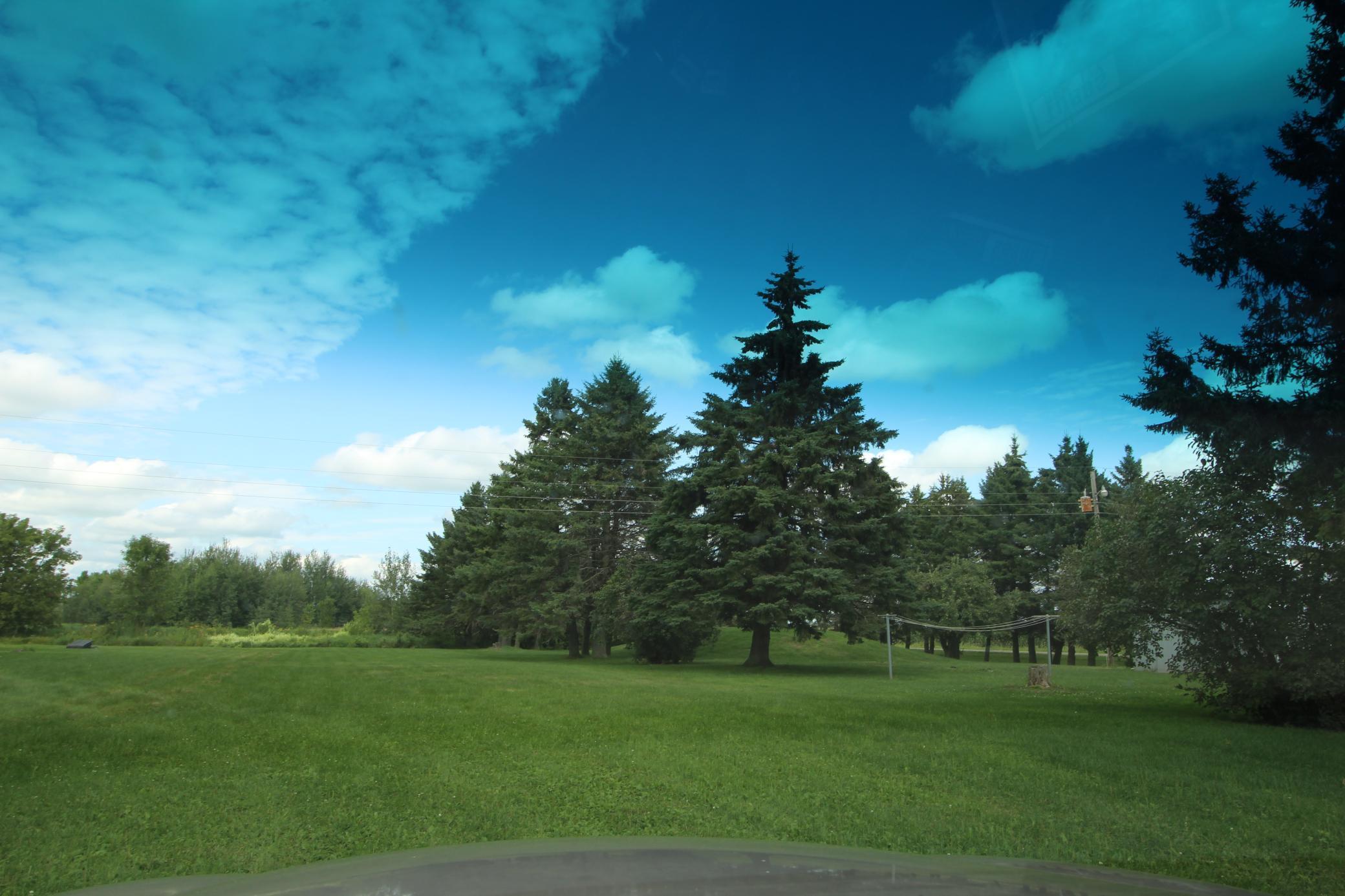 View of Land at xxxxx Rush Lake Lane, Rush City MN 55069, Rush City - Mike Wilen | Minnesota Team Real Estate