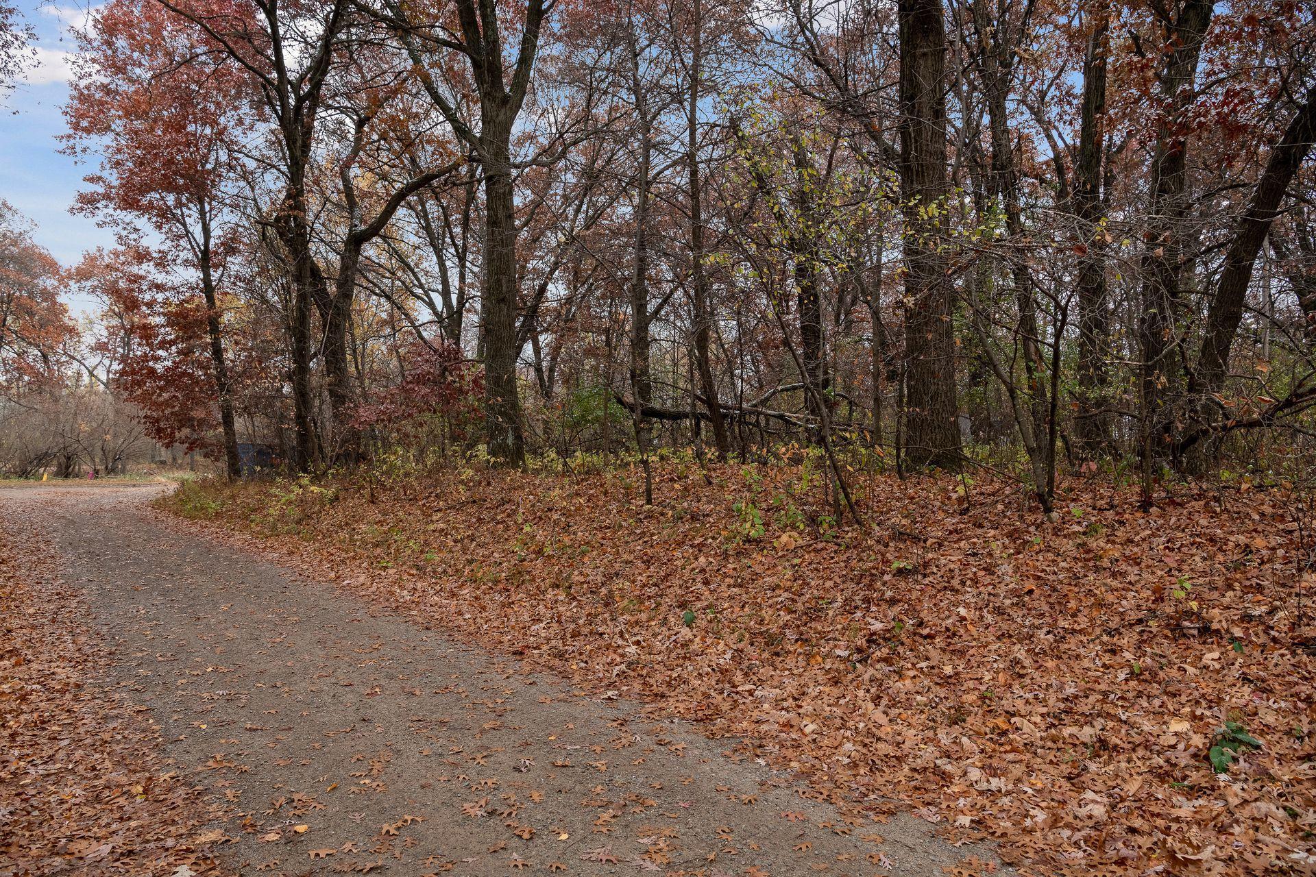 View of Land at xxx 98th Street, Zimmerman MN 55398, Zimmerman - Mike Wilen | Minnesota Team Real Estate