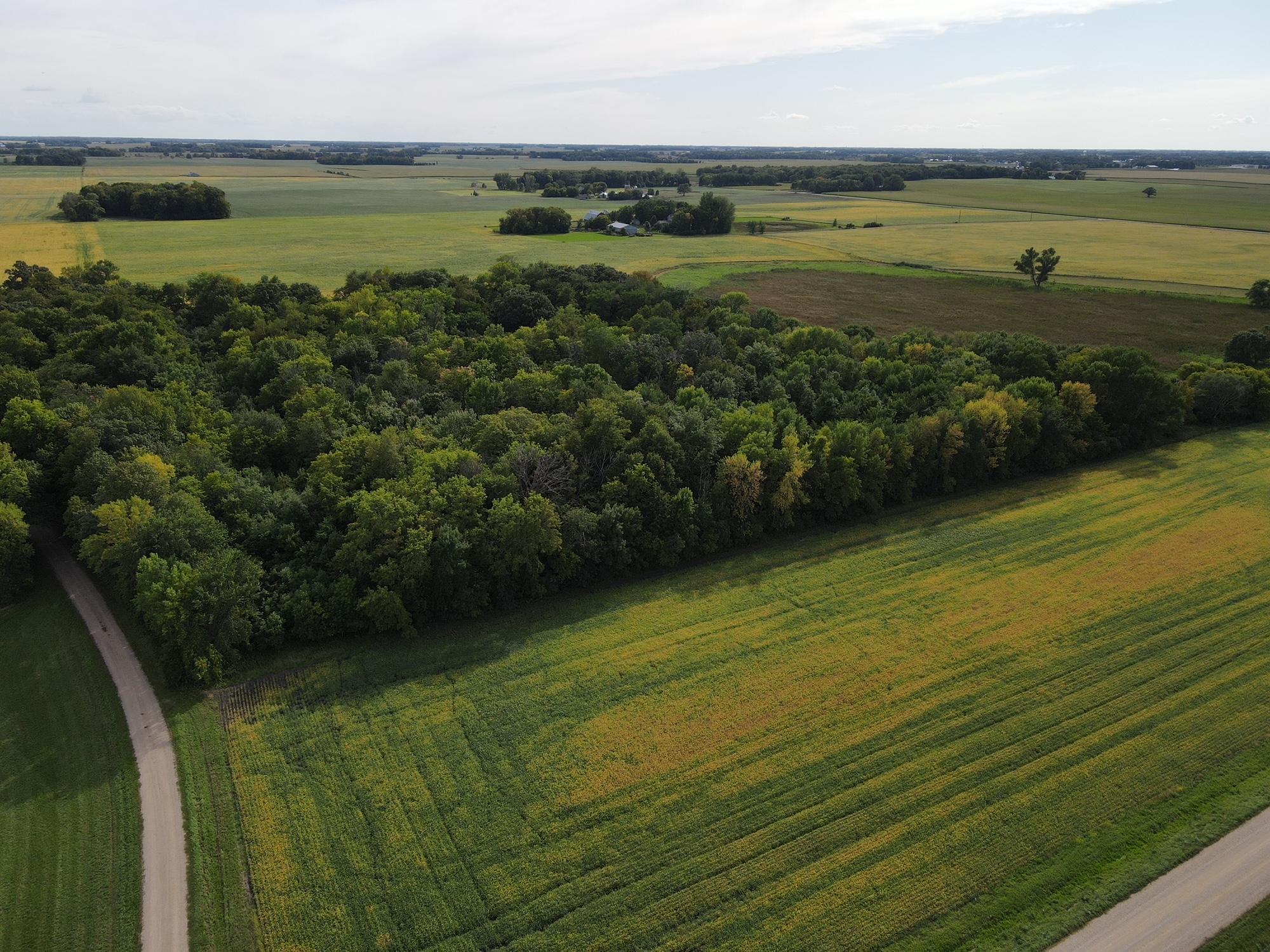 View of Land at 346xx 170th Street, Hamburg MN 55339, Hamburg - Mike Wilen | Minnesota Team Real Estate