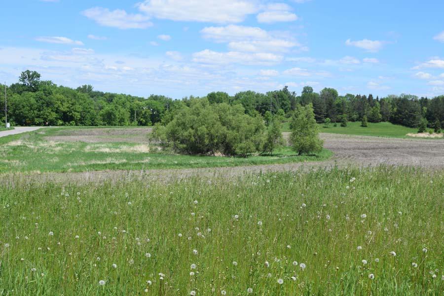View of Land at XX 115th Street, Delano MN 55328, Delano - Mike Wilen | Minnesota Team Real Estate