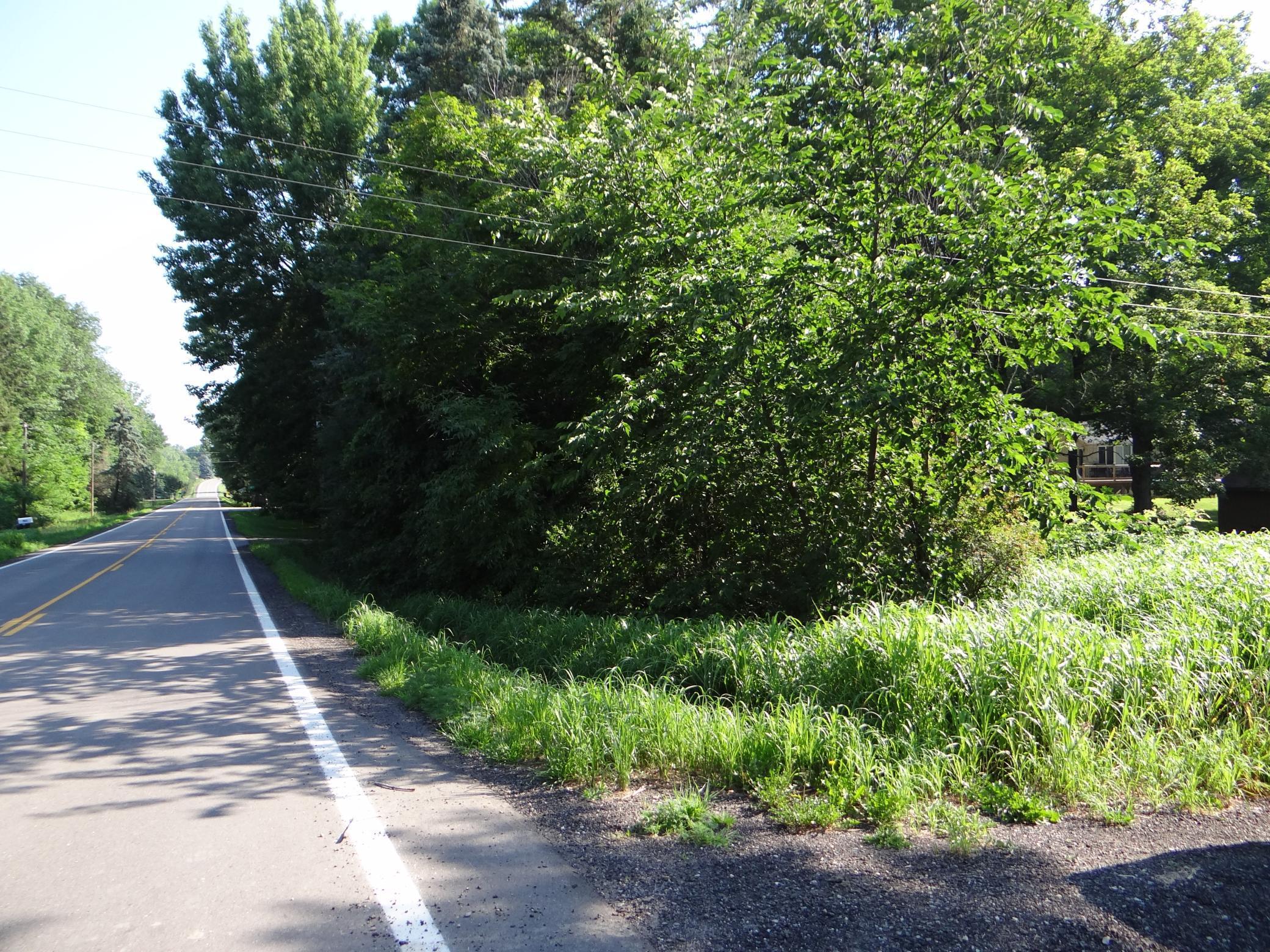 View of Land at 858 Hansack Avenue, Buffalo MN 55313, Buffalo - Mike Wilen | Minnesota Team Real Estate