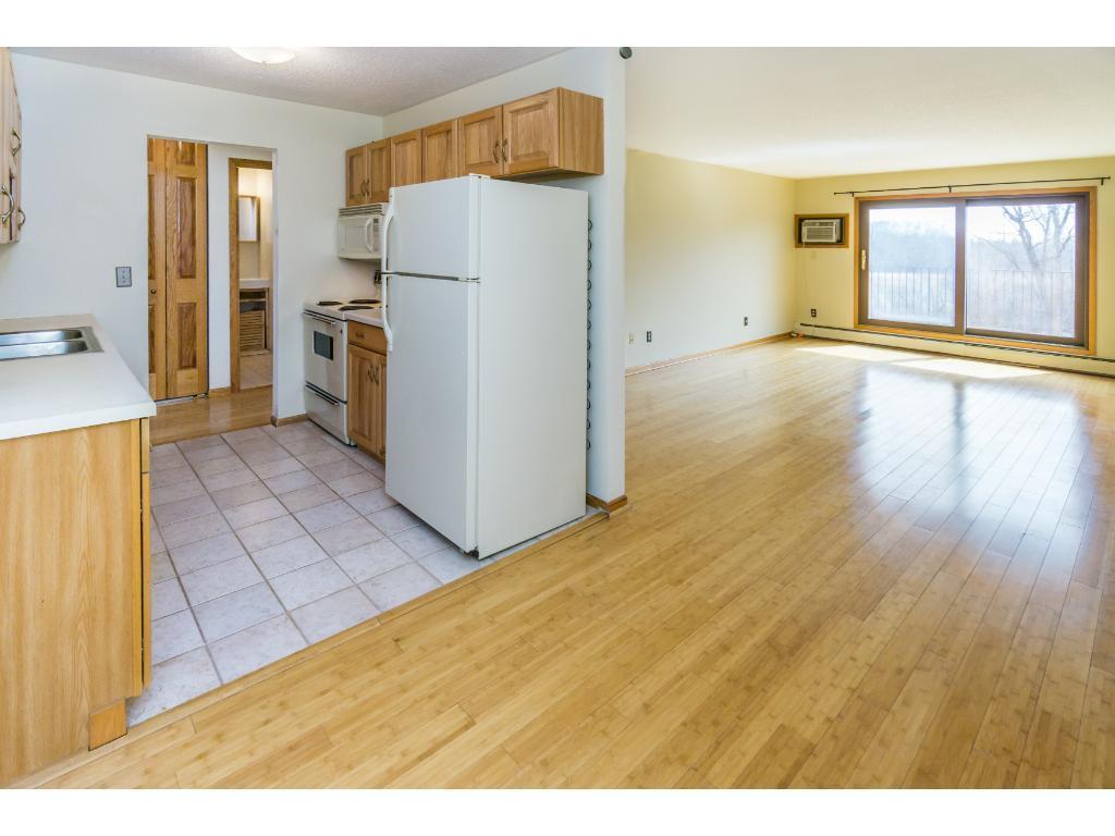 View of Residential at 1304 Medicine Lake Drive #321, Plymouth MN 55441, Plymouth - Mike Wilen | Minnesota Team Real Estate