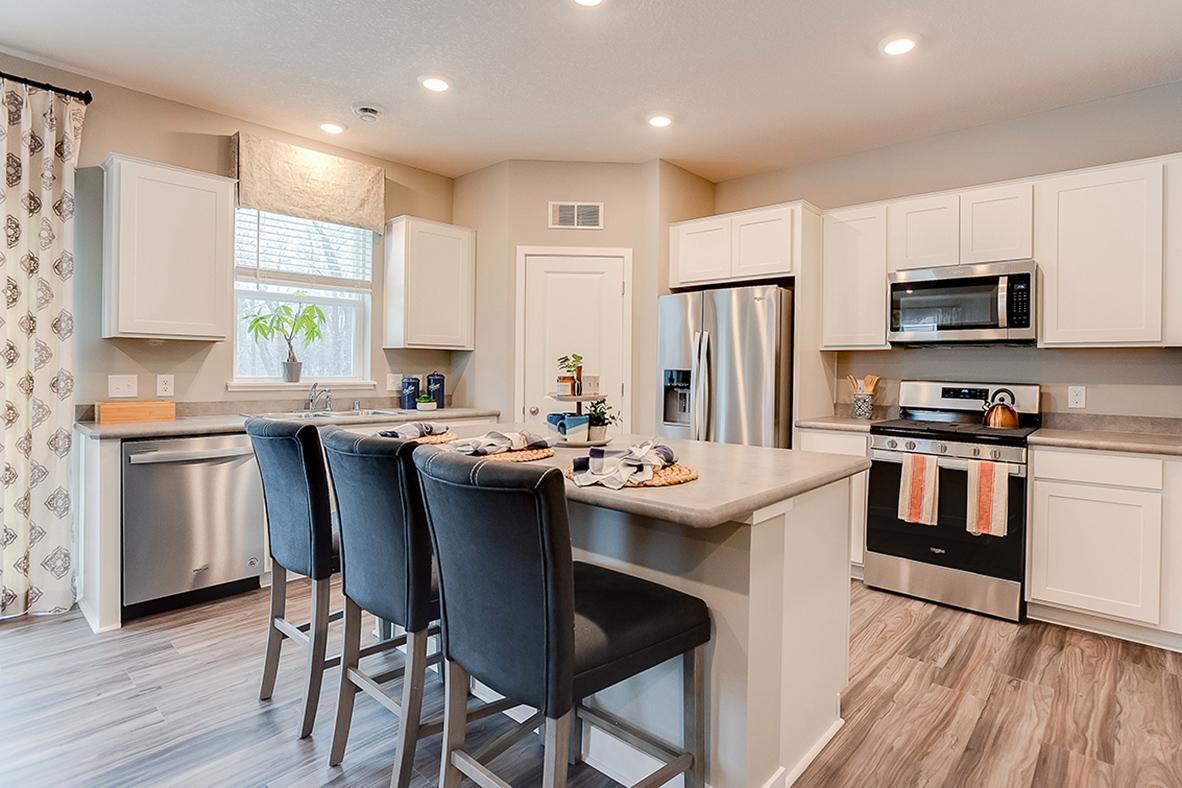 View of Residential at 223 Snowdrop Trail, Waconia MN 55387, Waconia - Mike Wilen | Minnesota Team Real Estate