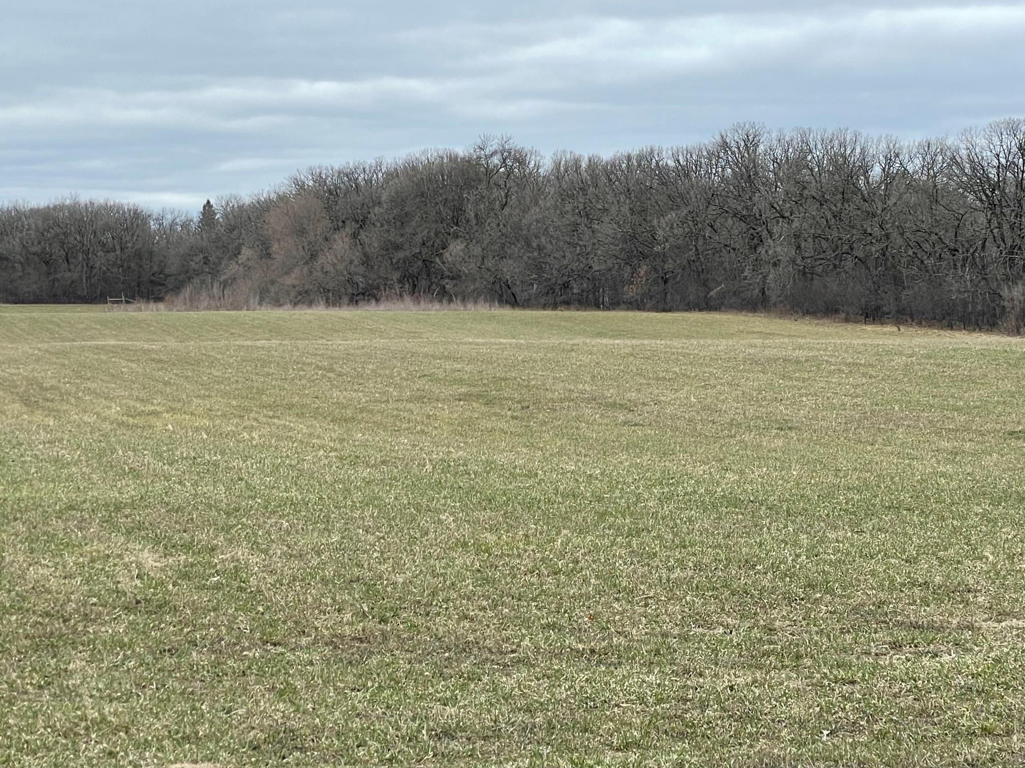 View of Land at XXX 67th Street, Clear Lake MN 55319, Clear Lake - Mike Wilen | Minnesota Team Real Estate