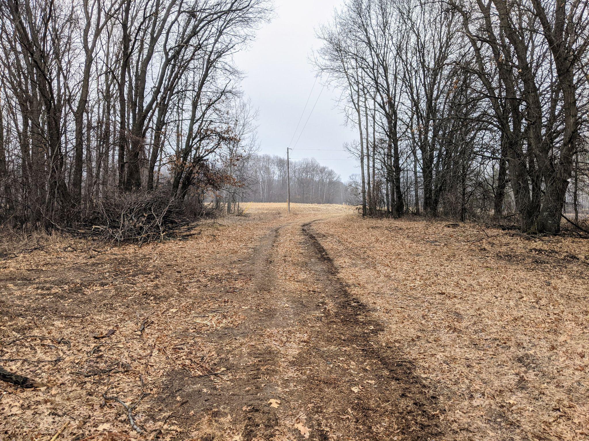 View of Land at XXX 379 Avenue, Stanchfield MN 55080, Stanchfield - Mike Wilen | Minnesota Team Real Estate