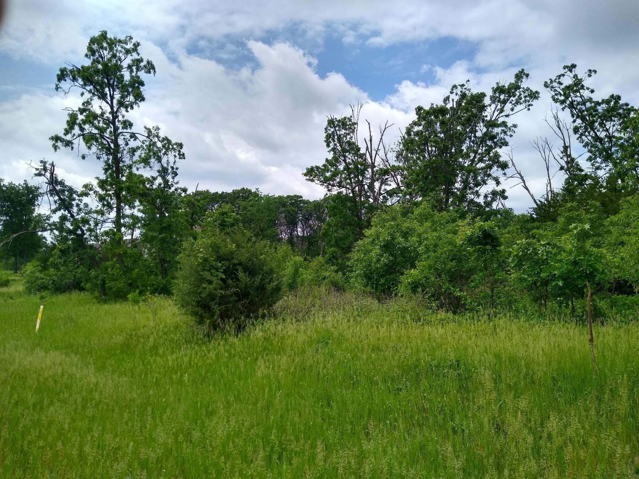 View of Land at Lot 1 Blk 1 190th Street, Big Lake MN 55309, Big Lake - Mike Wilen | Minnesota Team Real Estate