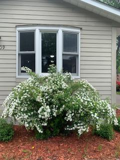 View of Residential at 1909 Field Avenue, Saint Paul MN 55116, Saint Paul - Mike Wilen | Minnesota Team Real Estate