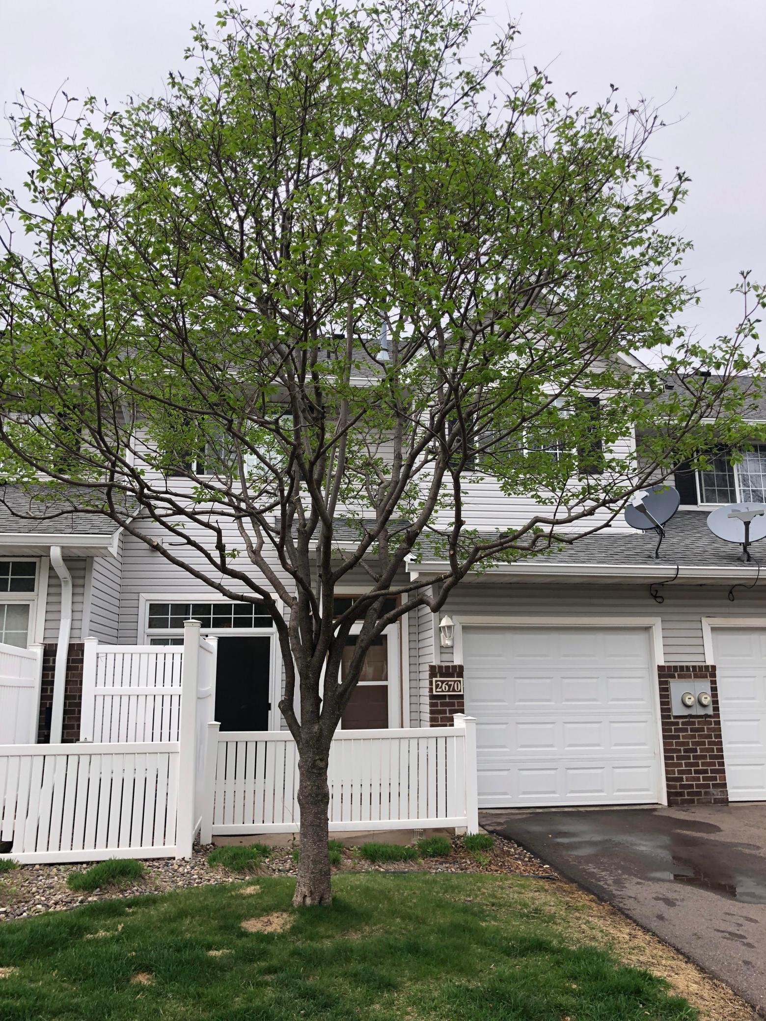 View of Residential at 2670 Mallard Drive, Woodbury MN 55125, Woodbury - Mike Wilen | Minnesota Team Real Estate